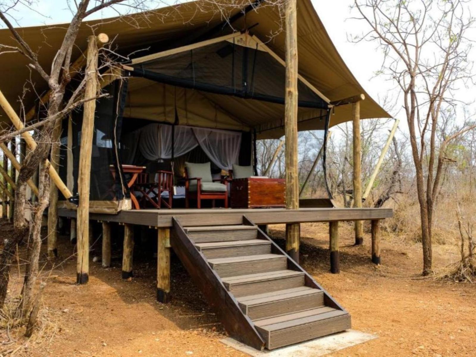 Honeyguide Tented Safari Camps - Mantobeni Rezervace Manyeleti Pokoj fotografie